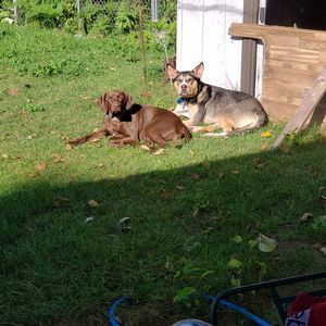 Meet your Posher, Mary